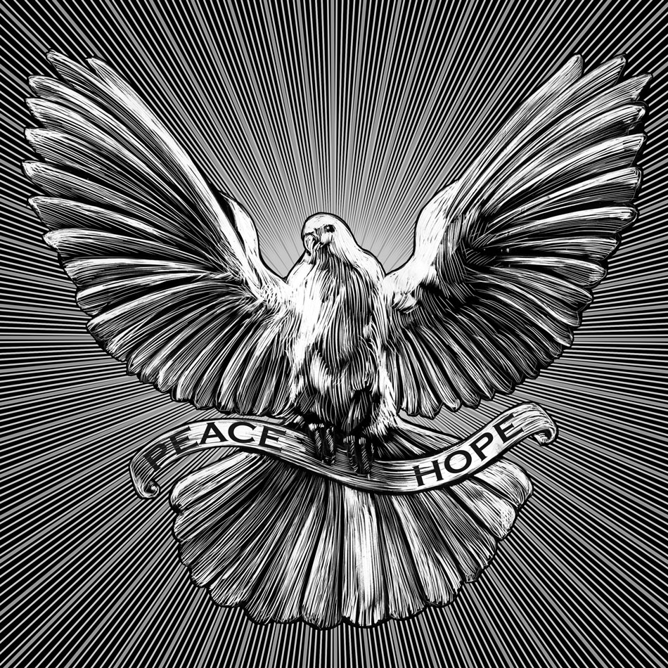 black and white of flying peace dove for greeting card