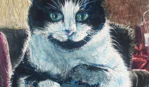 color scratchboard and inks of Jasmine the cat sitting on a man's knee.