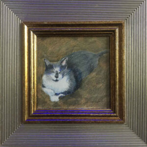 grey and white cat in a square angular frame.