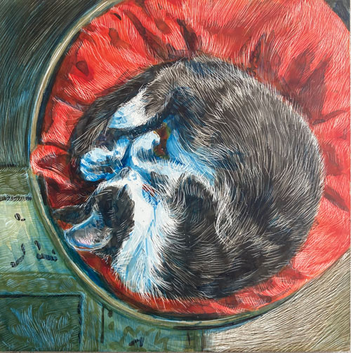 Color drawing of a cat sleeping curled up in a ball on a round red cushion.